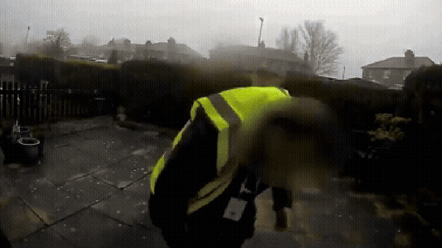 Entregador Da Amazon é Filmado Furtando Gato Em Frente à Casa De Cliente No Reino Unido; Animal é Recuperado