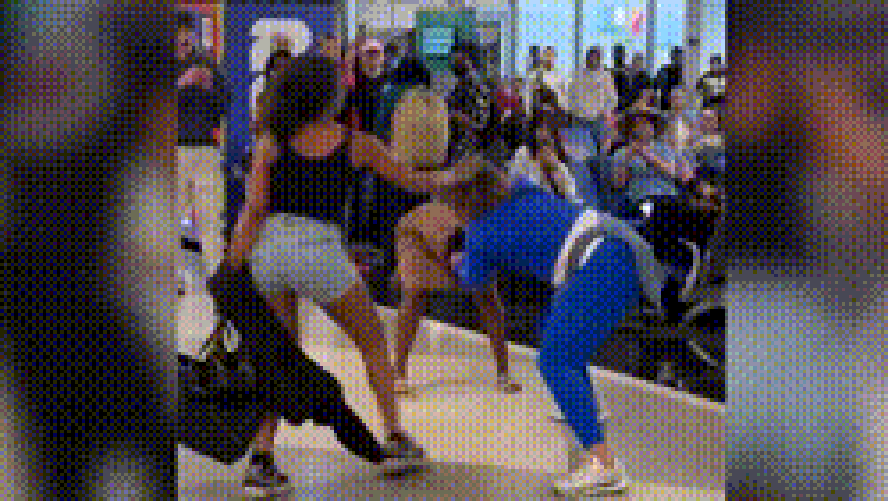 Briga De Mulheres Em Aeroporto Dos Eua Viraliza: Confronto Físico Em Portão De Embarque Choca Passageiros